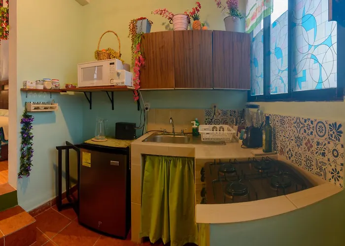 Apartamento La Más Cómoda Y Elegante México DF