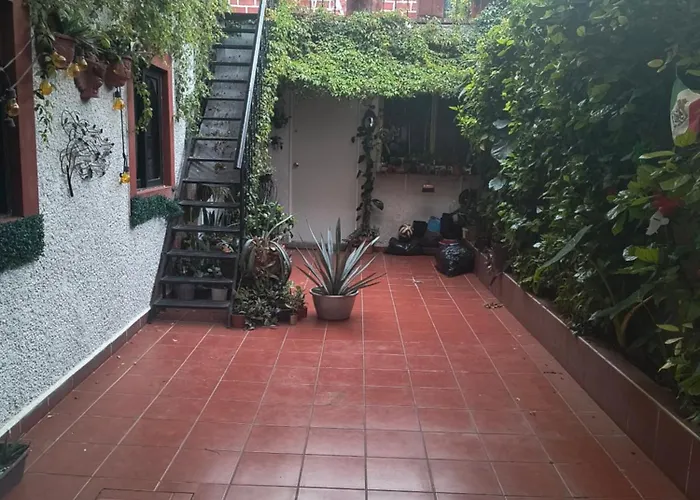 La Más Cómoda Y Elegante *