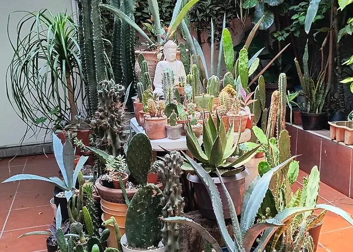 Apartamento La Más Cómoda Y Elegante *
