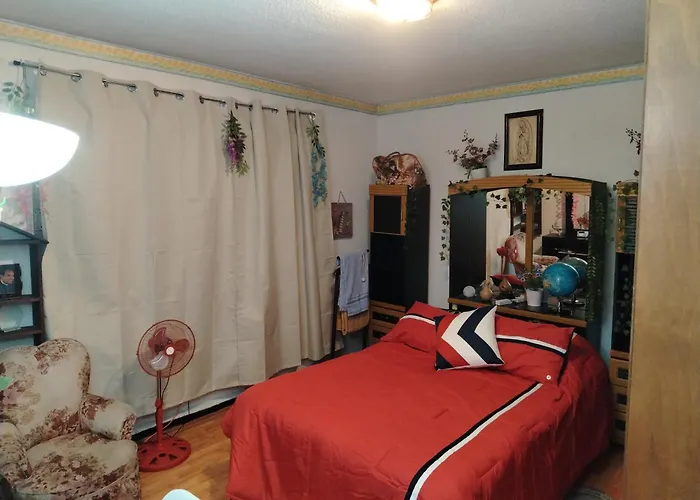 La Más Cómoda Y Elegante Apartamento